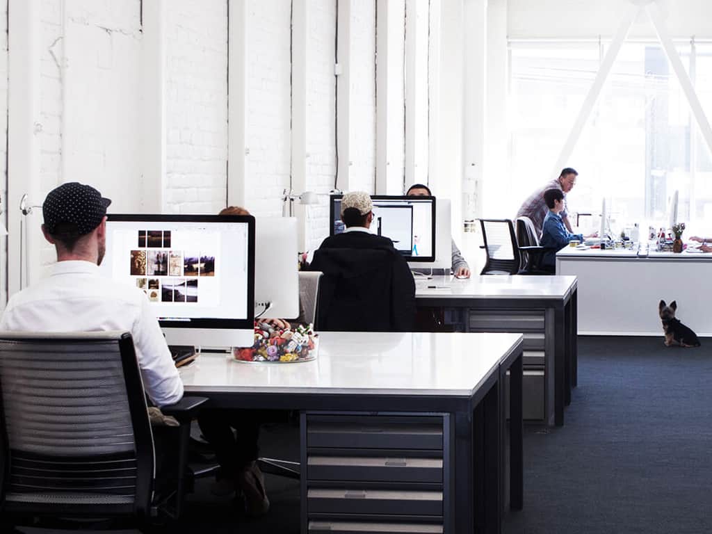 5 Star Points to Find in Your Ideal Web Design Agency in Dubai